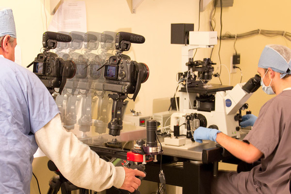 Video Camera Stabilizer |miano.tv St. Louis Video Production
